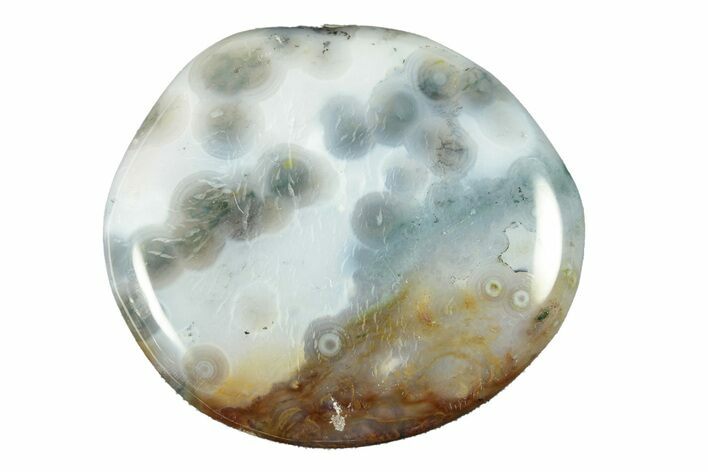 Polished Ocean Jasper Stone - New Deposit #261267